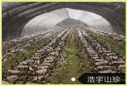 &#74;&#68;&#66;&#40;&#20013;&#22269;&#30005;&#23376;&#41;&#23448;&#26041;&#32593;&#31449;&#95;&#74;&#68;&#66;