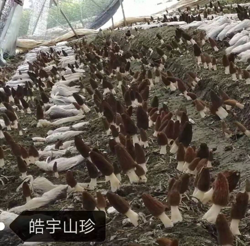 &#74;&#68;&#66;&#40;&#20013;&#22269;&#30005;&#23376;&#41;&#23448;&#26041;&#32593;&#31449;&#95;&#74;&#68;&#66;