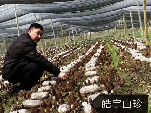 &#74;&#68;&#66;&#40;&#20013;&#22269;&#30005;&#23376;&#41;&#23448;&#26041;&#32593;&#31449;&#95;&#74;&#68;&#66;
