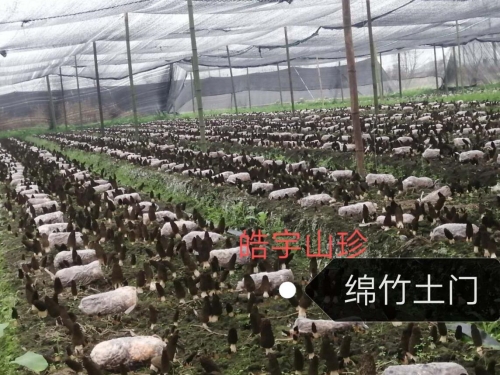 &#74;&#68;&#66;&#40;&#20013;&#22269;&#30005;&#23376;&#41;&#23448;&#26041;&#32593;&#31449;&#95;&#74;&#68;&#66;