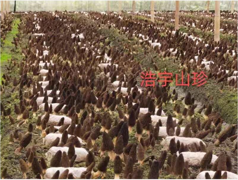 &#74;&#68;&#66;&#40;&#20013;&#22269;&#30005;&#23376;&#41;&#23448;&#26041;&#32593;&#31449;&#95;&#74;&#68;&#66;
