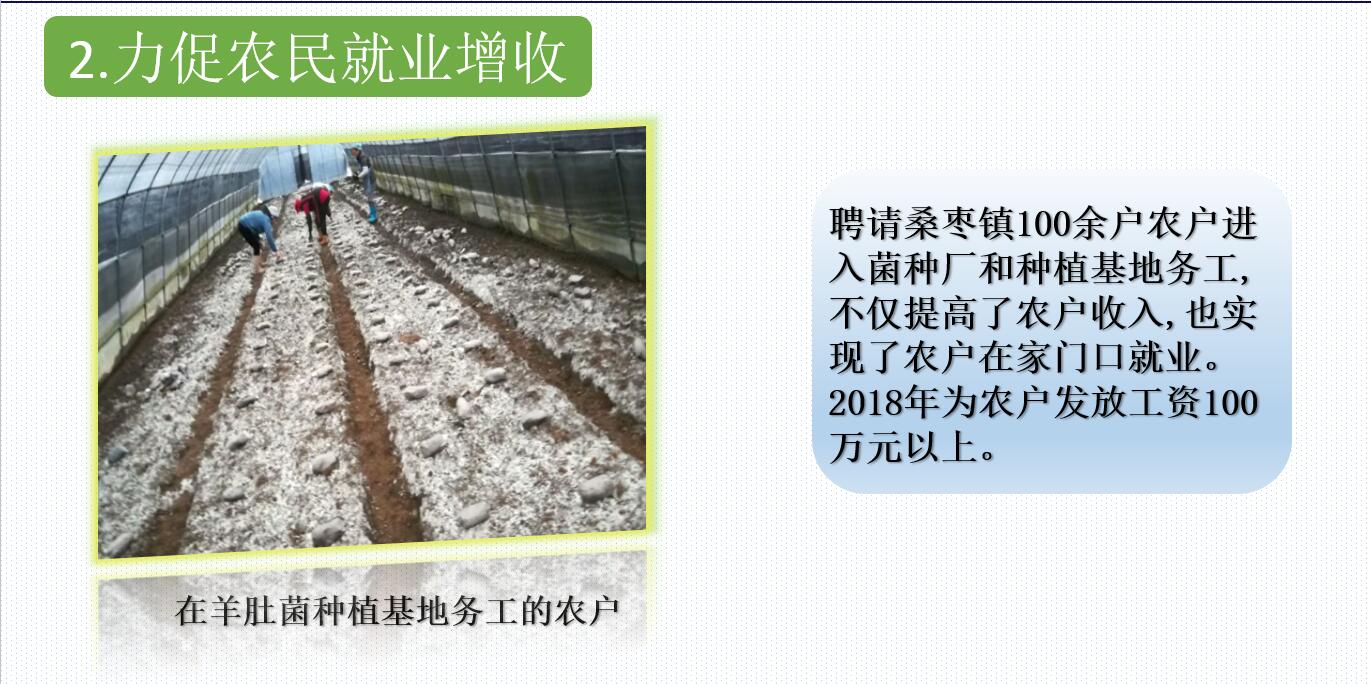 &#74;&#68;&#66;&#40;&#20013;&#22269;&#30005;&#23376;&#41;&#23448;&#26041;&#32593;&#31449;&#95;&#74;&#68;&#66;