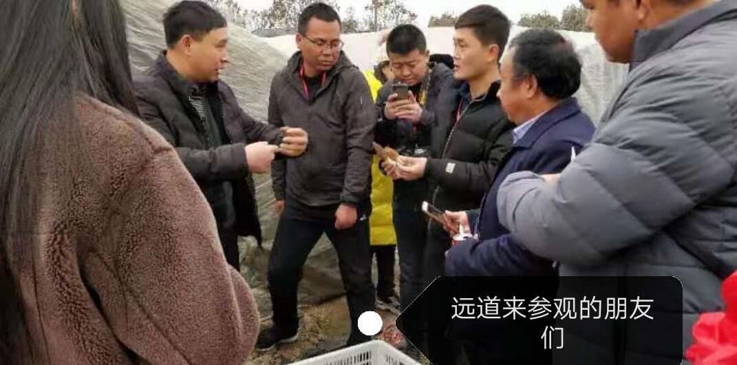 &#74;&#68;&#66;&#40;&#20013;&#22269;&#30005;&#23376;&#41;&#23448;&#26041;&#32593;&#31449;&#95;&#74;&#68;&#66;